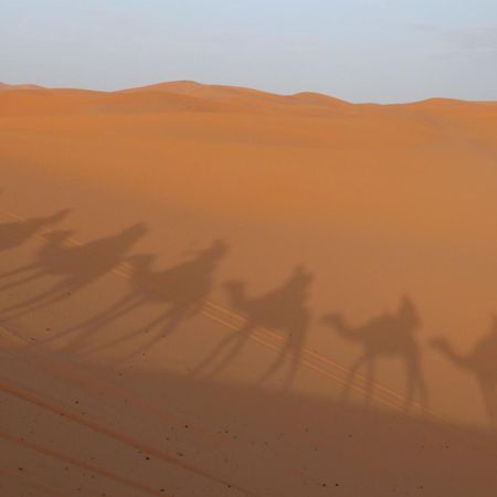 Merzouga Luxury Traditional Camp Eksteriør billede